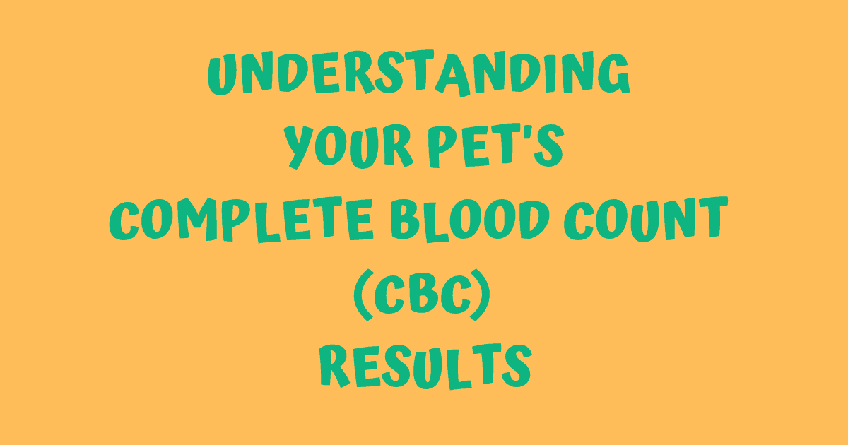 Understanding Your Pet's CBC Results I Love Veterinary