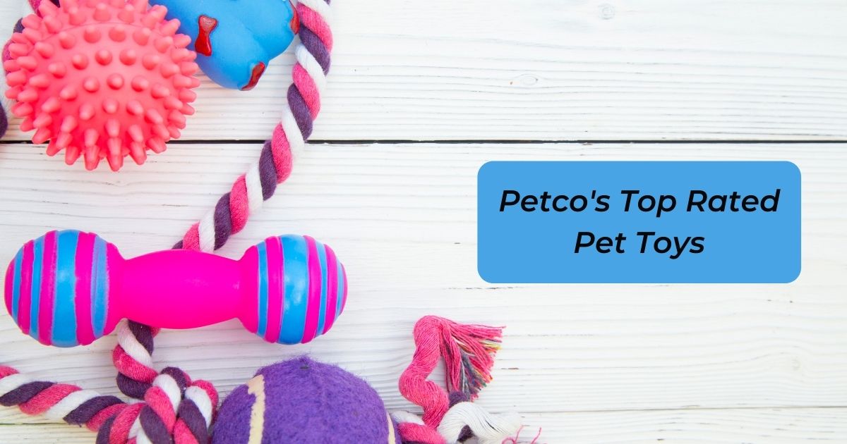 Petco's Top Rated Pet Toys 2024 I Love Veterinary