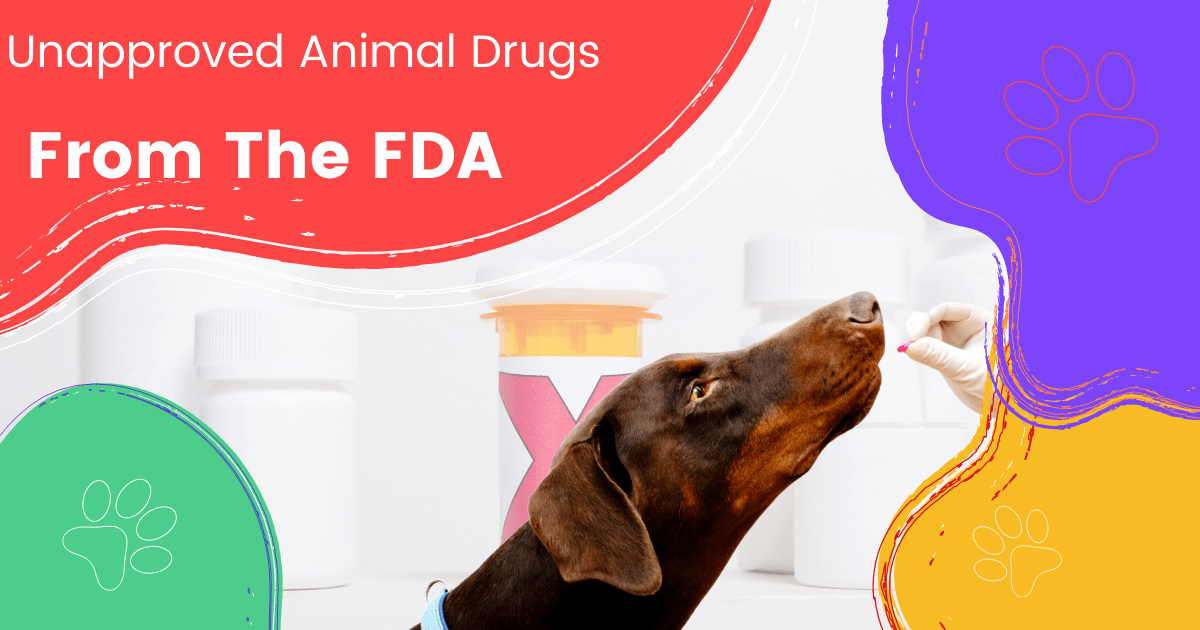 Unapproved Animal Drugs By The FDA I Love Veterinary