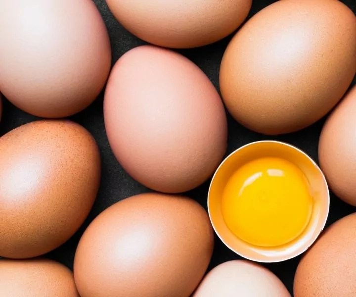 Can Cats Eat Popcorn? To POP Or Not To POP! I Love Veterinary