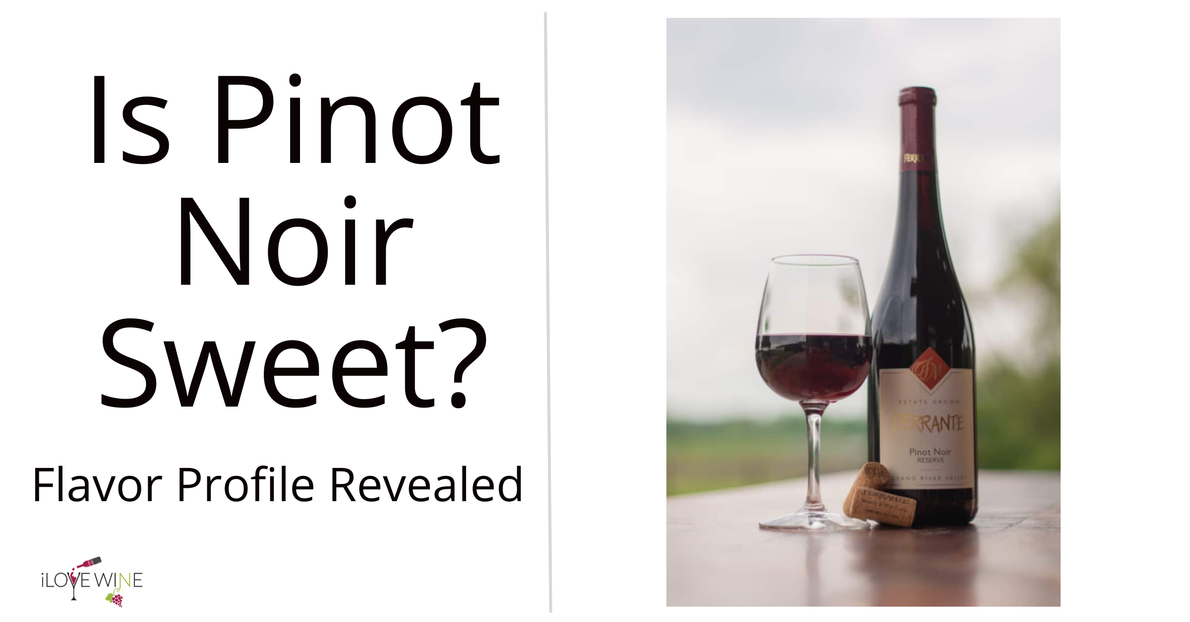 Is Pinot Noir Sweet? Flavor Profile Revealed