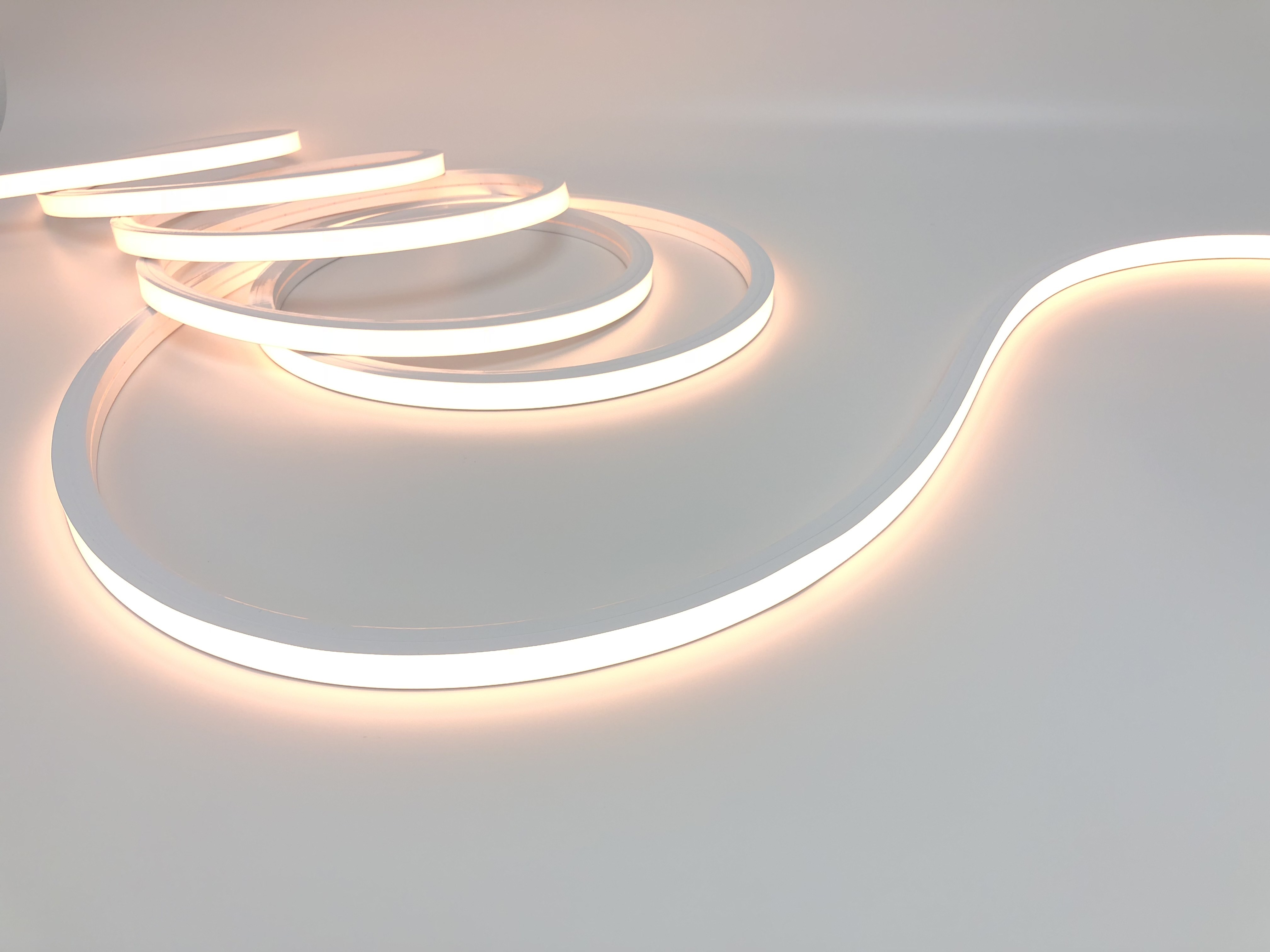 NEON FLEX LED STRIPS 10W/M IP67 24V ILS