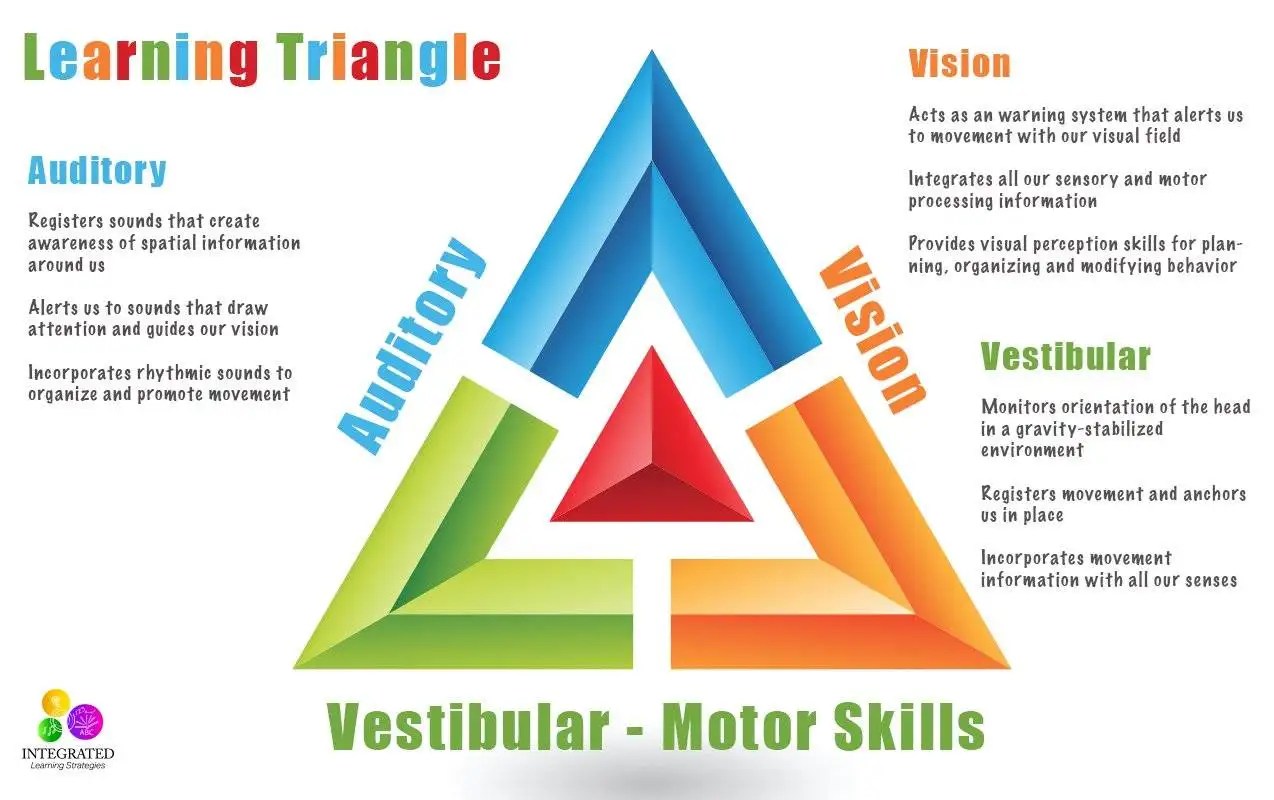 Learning Triangle Without the Vestibular, Visual and Auditory Working