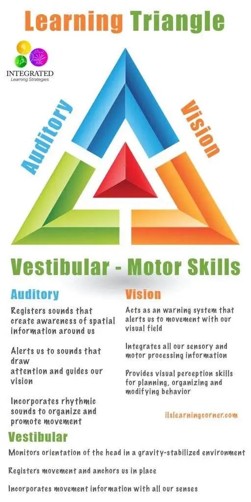 LEARNING TRIANGLE Without the Vestibular, Visual and