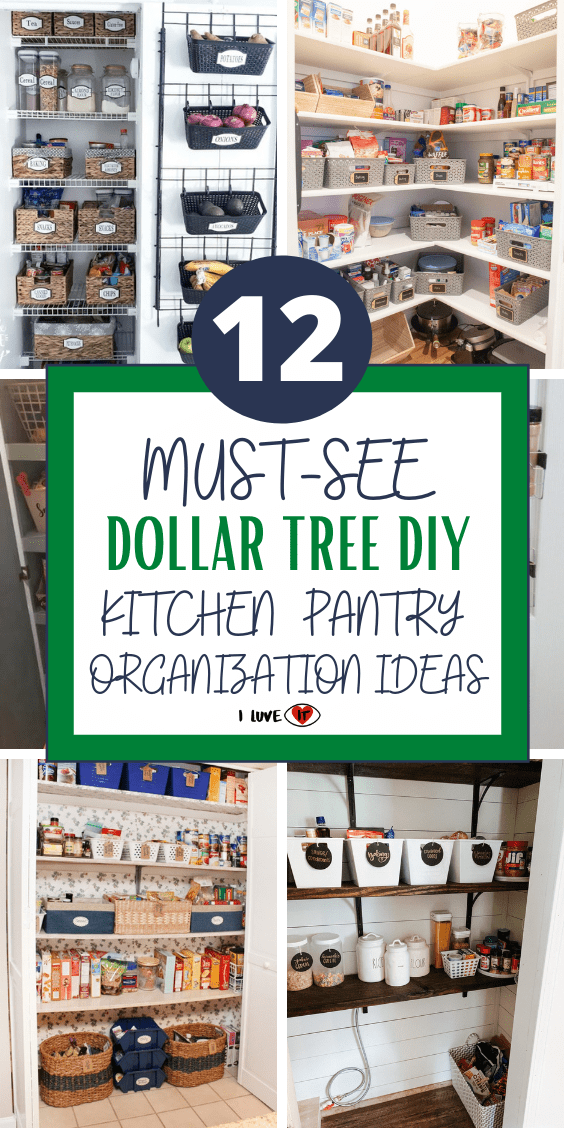 12 MustSee Dollar Tree Kitchen Pantry Organization Ideas I Luve It
