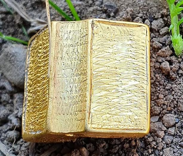 “Golden Bible!” Amazed woman finds one of the good medieval gold bibles
