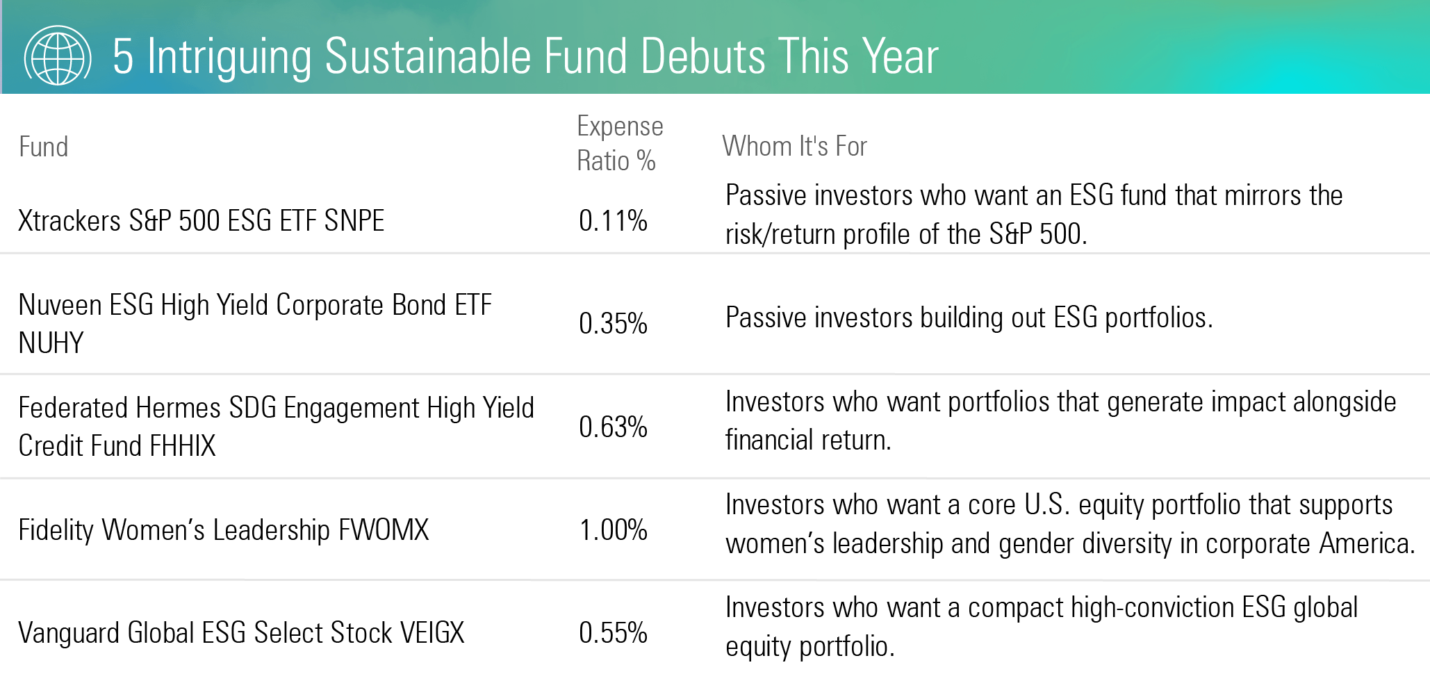 Fidelity S&P 500 Index Fund Morningstar Read This Before Buying