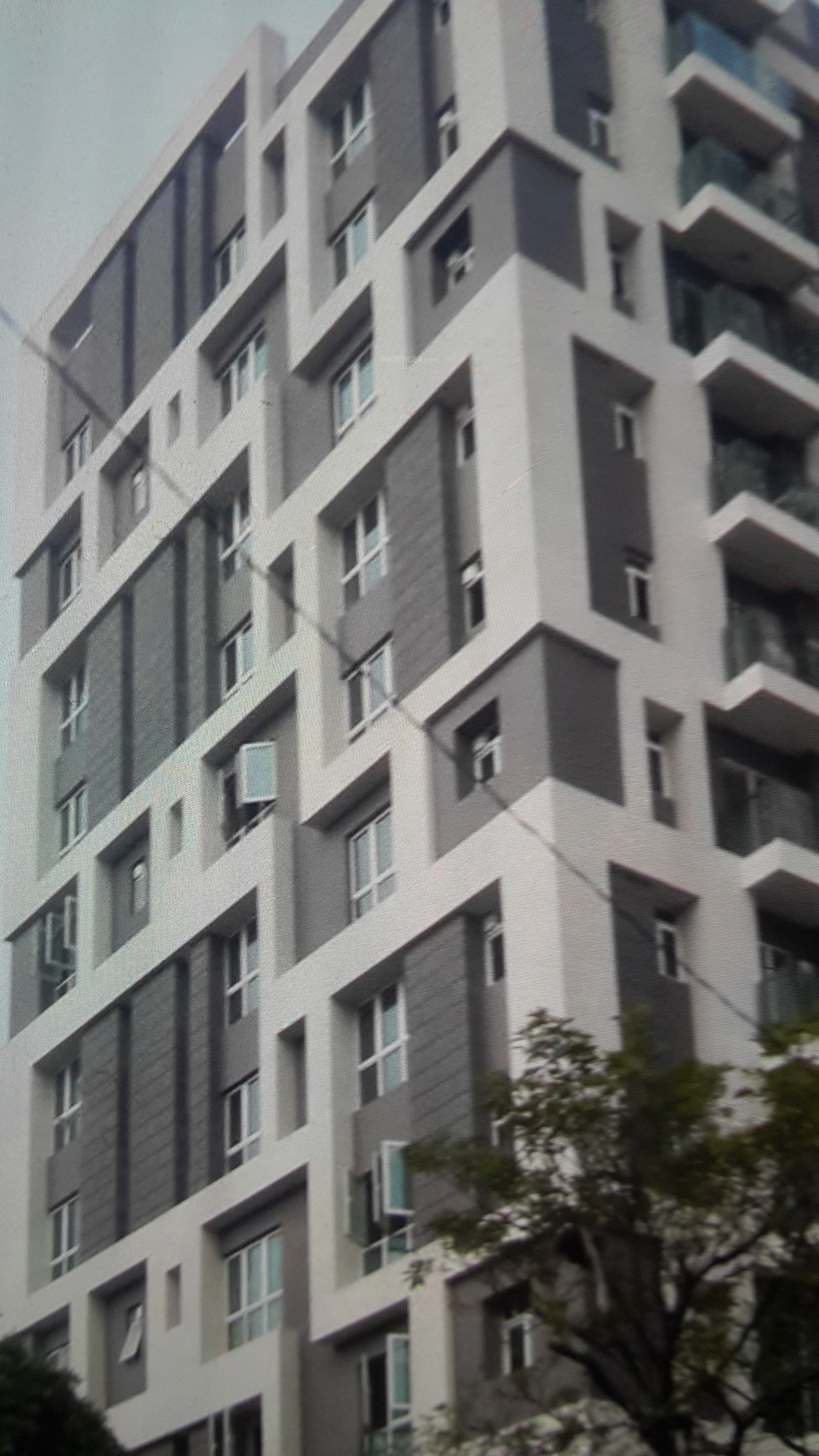 Diamond Group And Soham Group 12 Diamonds in Alipore, Kolkata Price