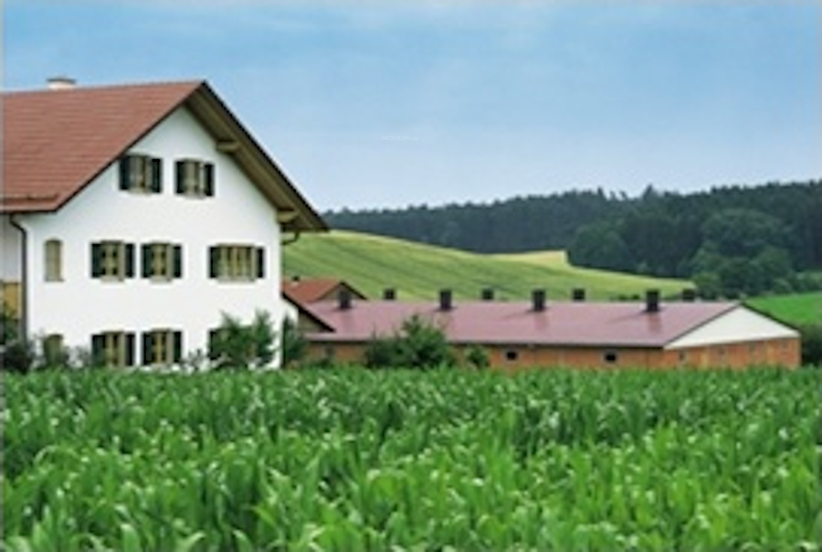 2000 sq ft Plot for Sale in Madhav Group Jaipur Farms Chaksu Jaipur