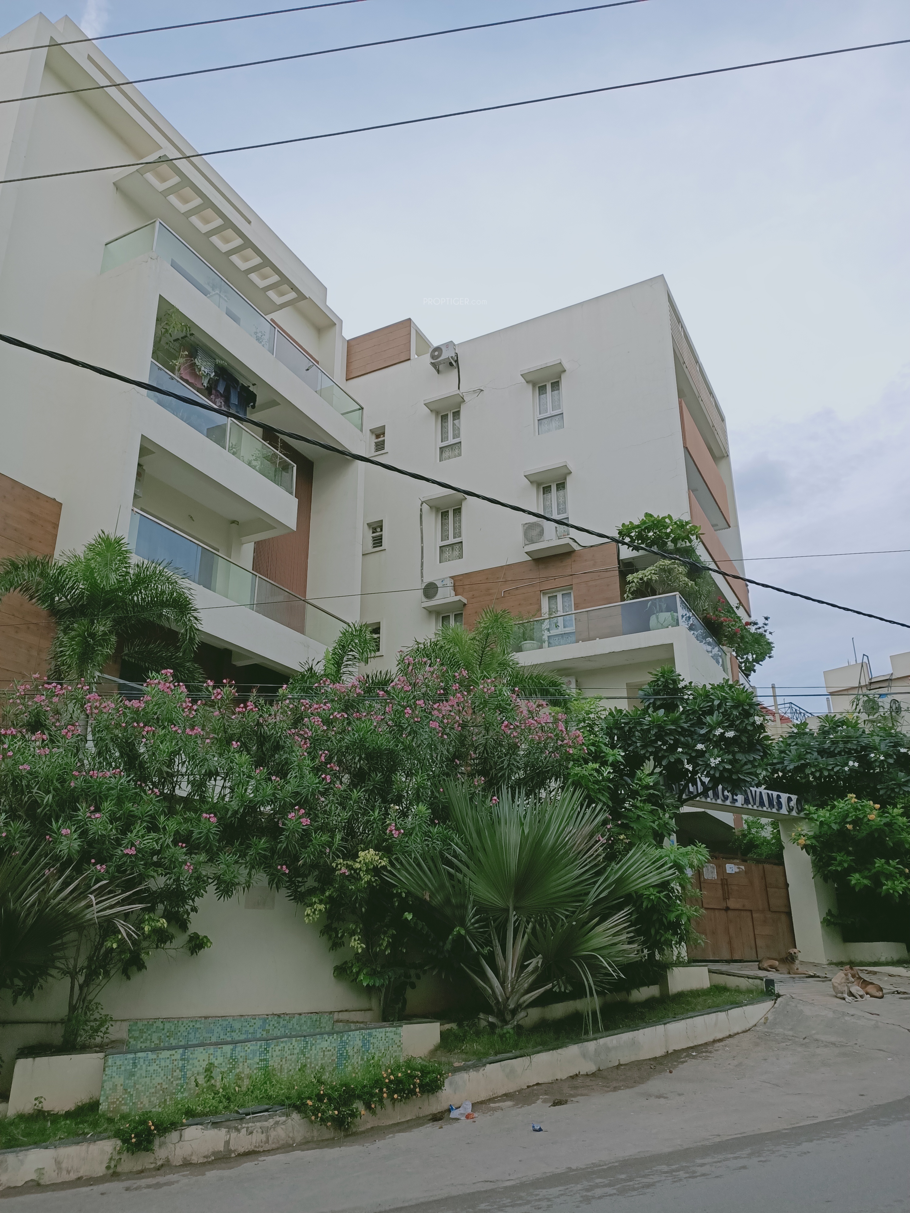 Reliance Avans Court in Banjara Hills, Hyderabad Price, Location Map