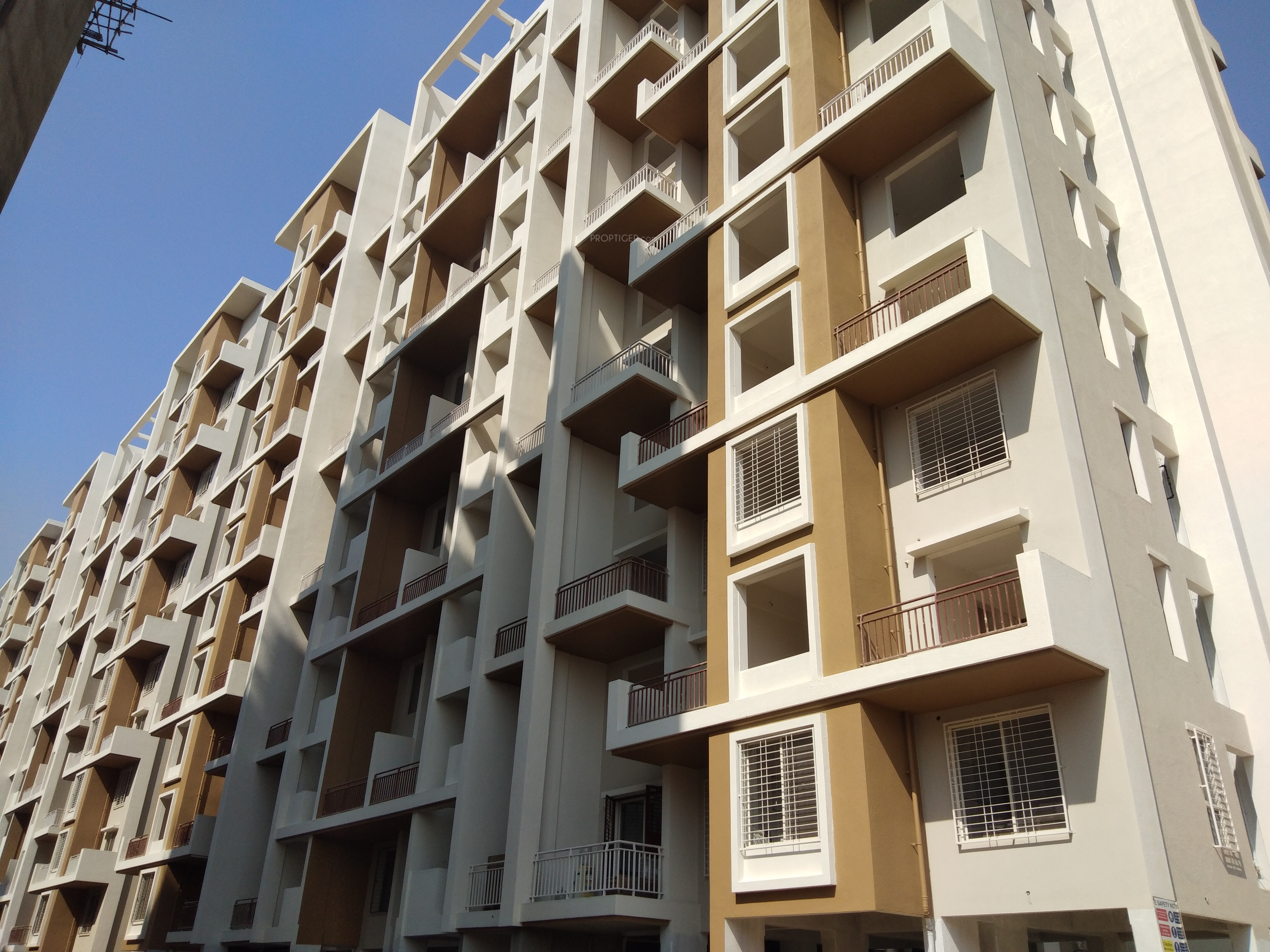 541 sq ft 2 BHK 2T Apartment for Sale in Tirupati Group Sai Tirupati