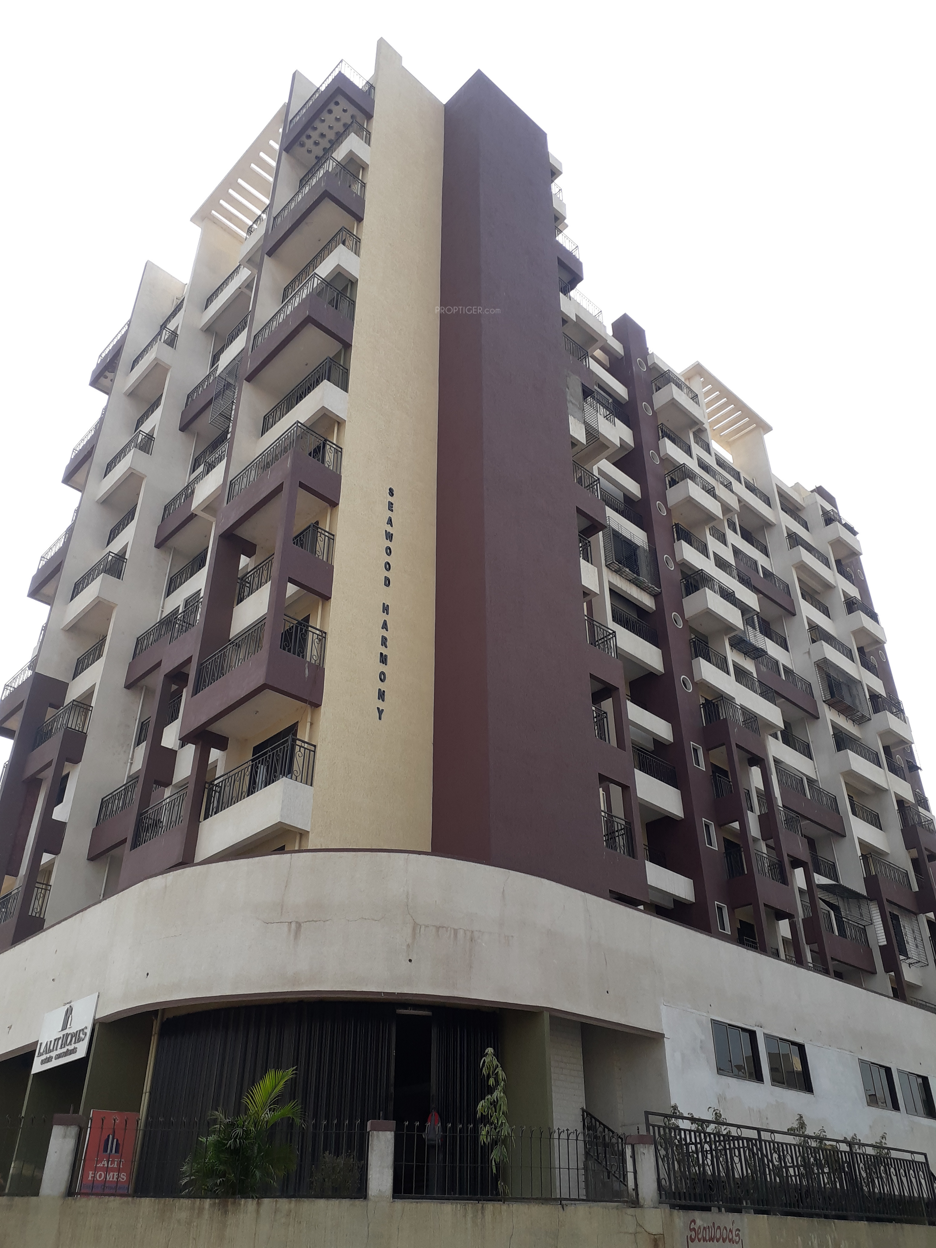 493 sq ft 2 BHK 2T Apartment for Sale in Geo Builders Mumbai Seawood