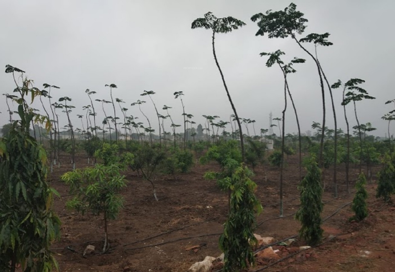 1800 sq ft Plot for Sale in Vardhan Developers Green Hills Amangal