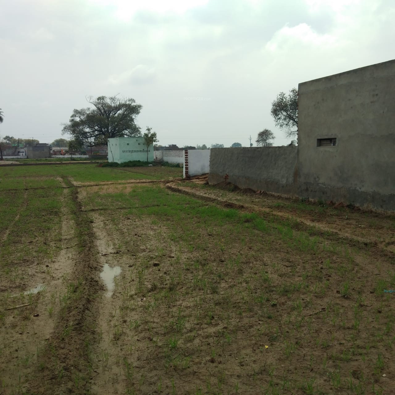 7650 sq ft Plot for Sale in Shubham Land Promoter And Colonizer Jewar City Near Jewar Airport At