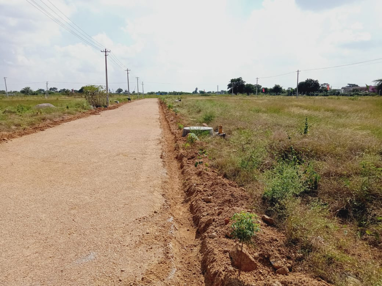 1503 sq ft Plot for Sale in Shri Kartikeya Life Spaces Aamogha Gardenia