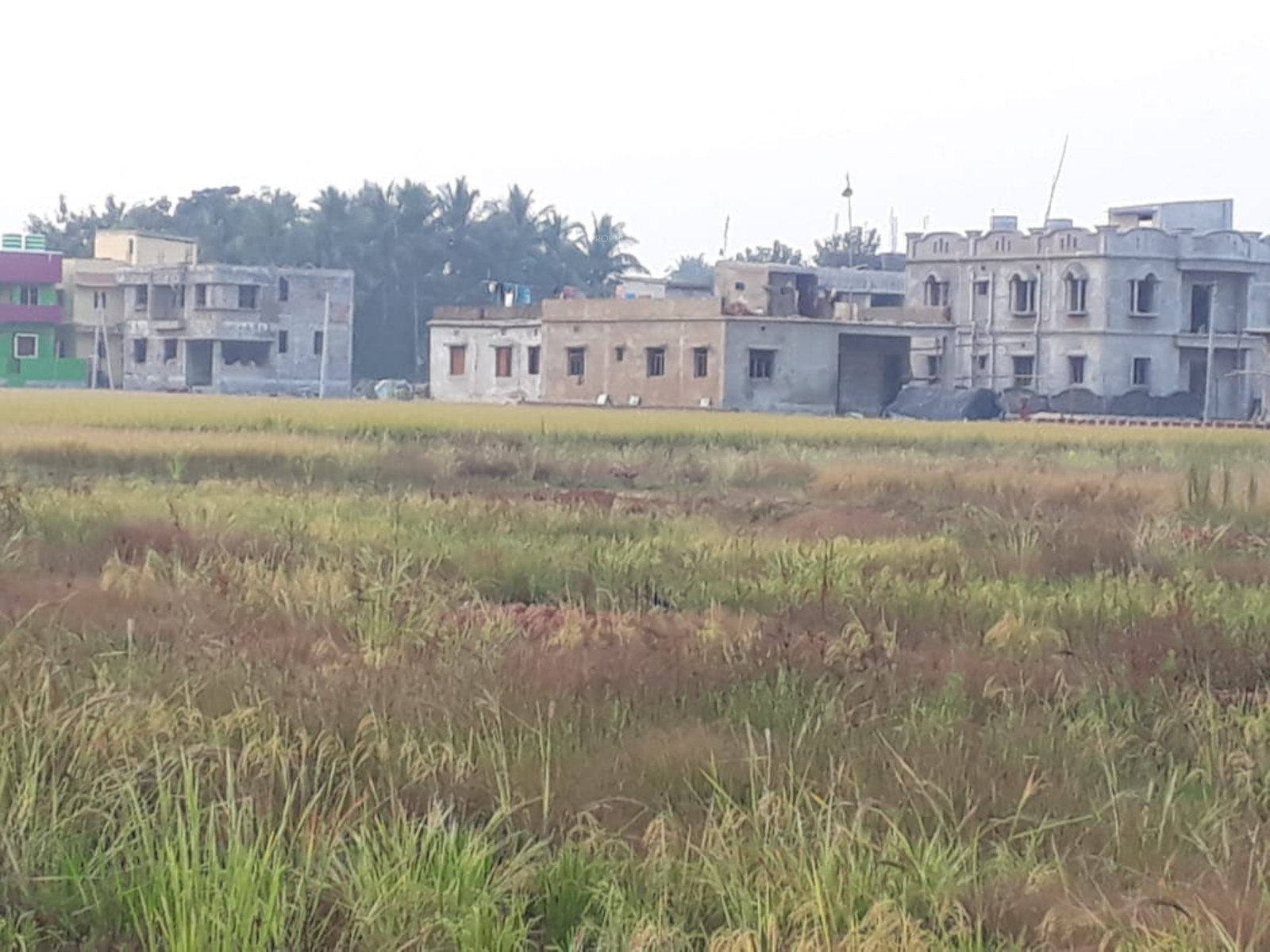 1200 sq ft Plot for Sale in RJ Estcon Sai Vihara Hanspal Bhubaneswar