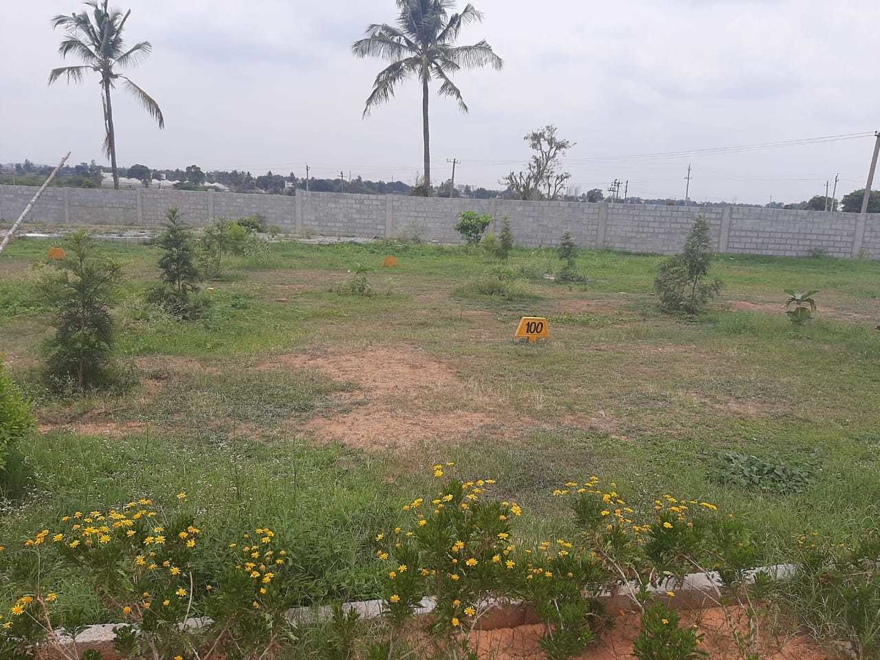 600 sq ft Plot for Sale in Clear Title Old Bangalore Harohalli Bangalore
