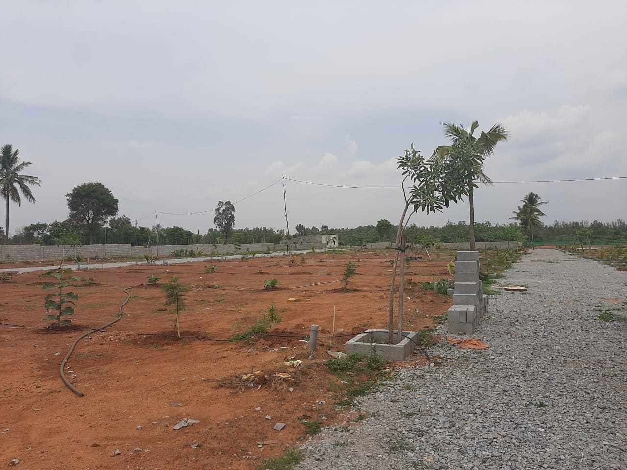 600 sq ft Plot for Sale in Clear Title Old Bangalore Harohalli Bangalore