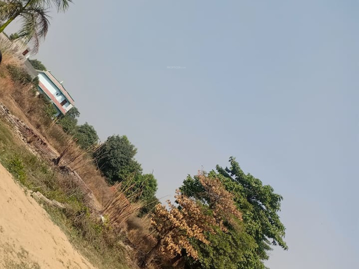 1350 sq ft Plot for Sale in Del NCR Infra Surya Chaman Enclave Plots