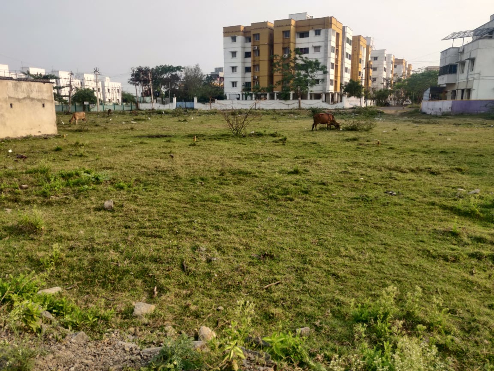 1045 sq ft Plot for Sale in Sai Homes Sembakkam Plots Selaiyur Chennai