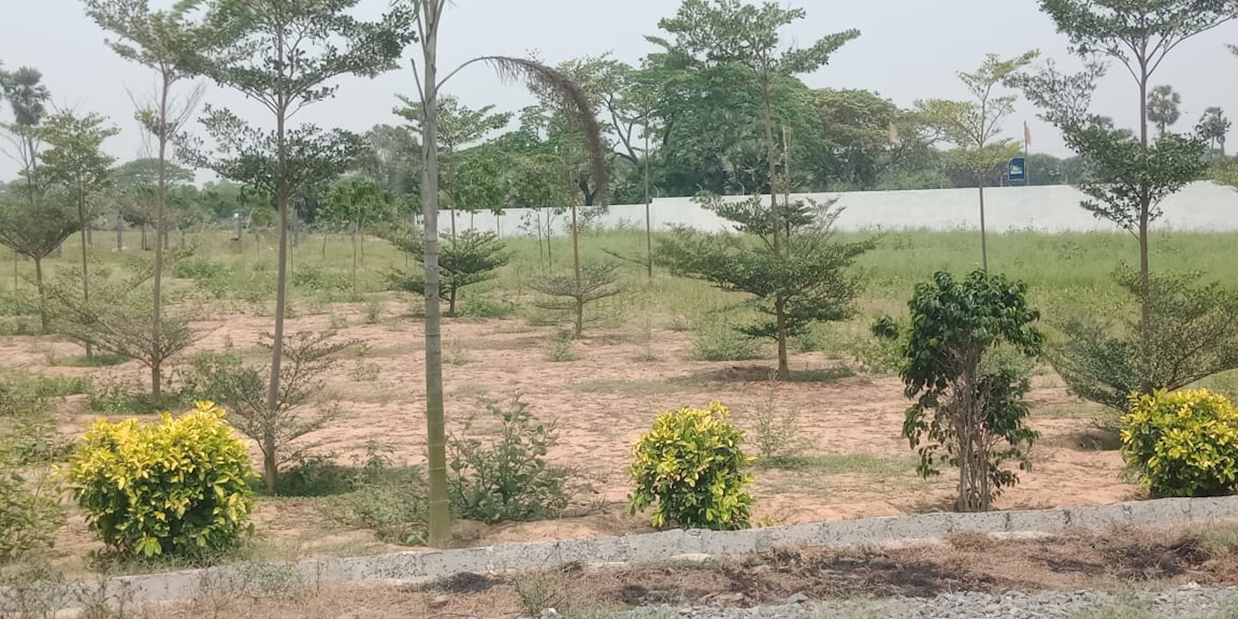 4320 sq ft Plot for Sale in Amaravati Green Developers Sun City Chirala