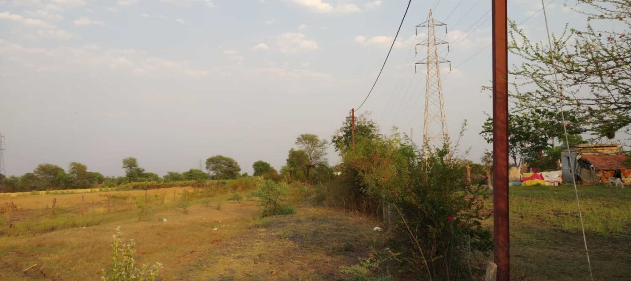 2400 sq ft Plot for Sale in Balaji Land Janki Nagar Surajgaon Narsinghpur