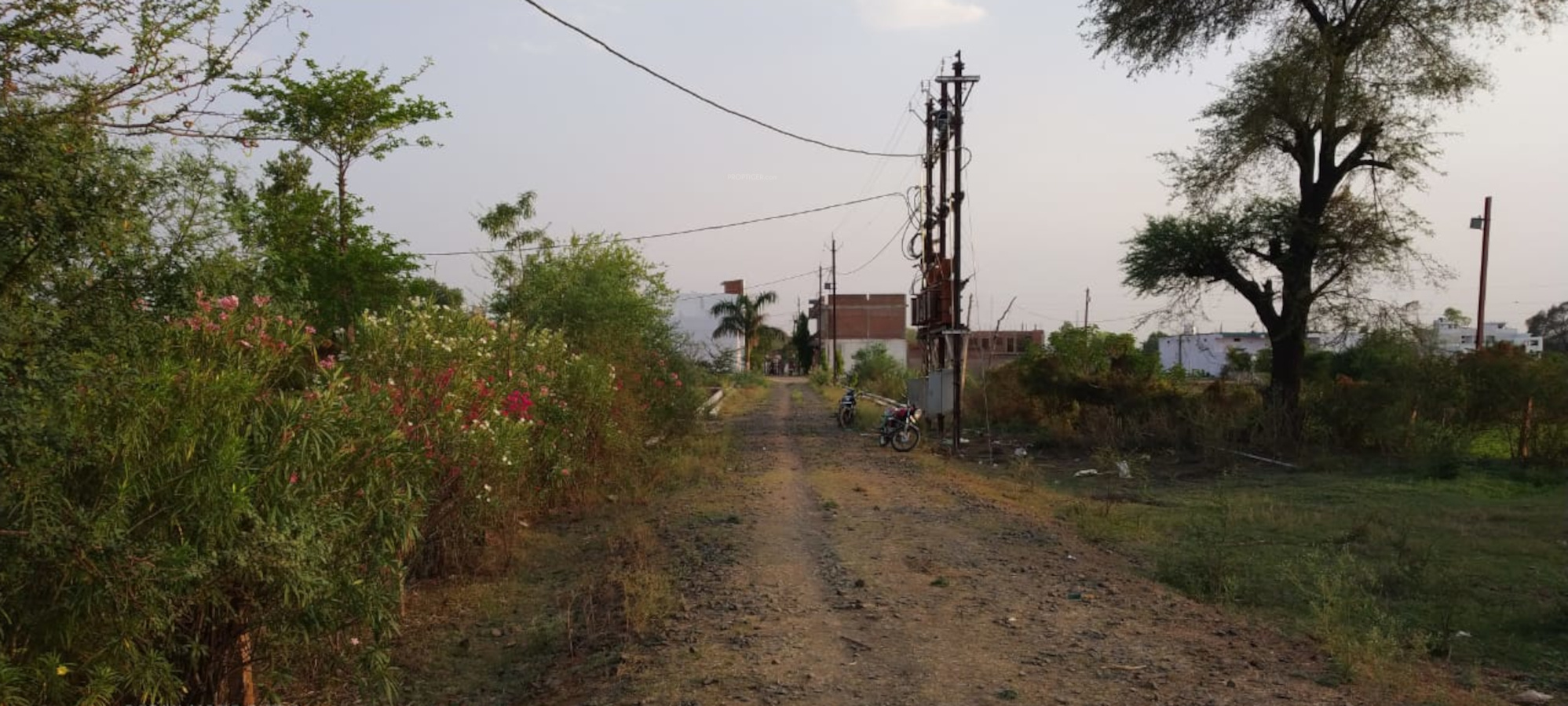 2400 sq ft Plot for Sale in Balaji Land Janki Nagar Surajgaon Narsinghpur