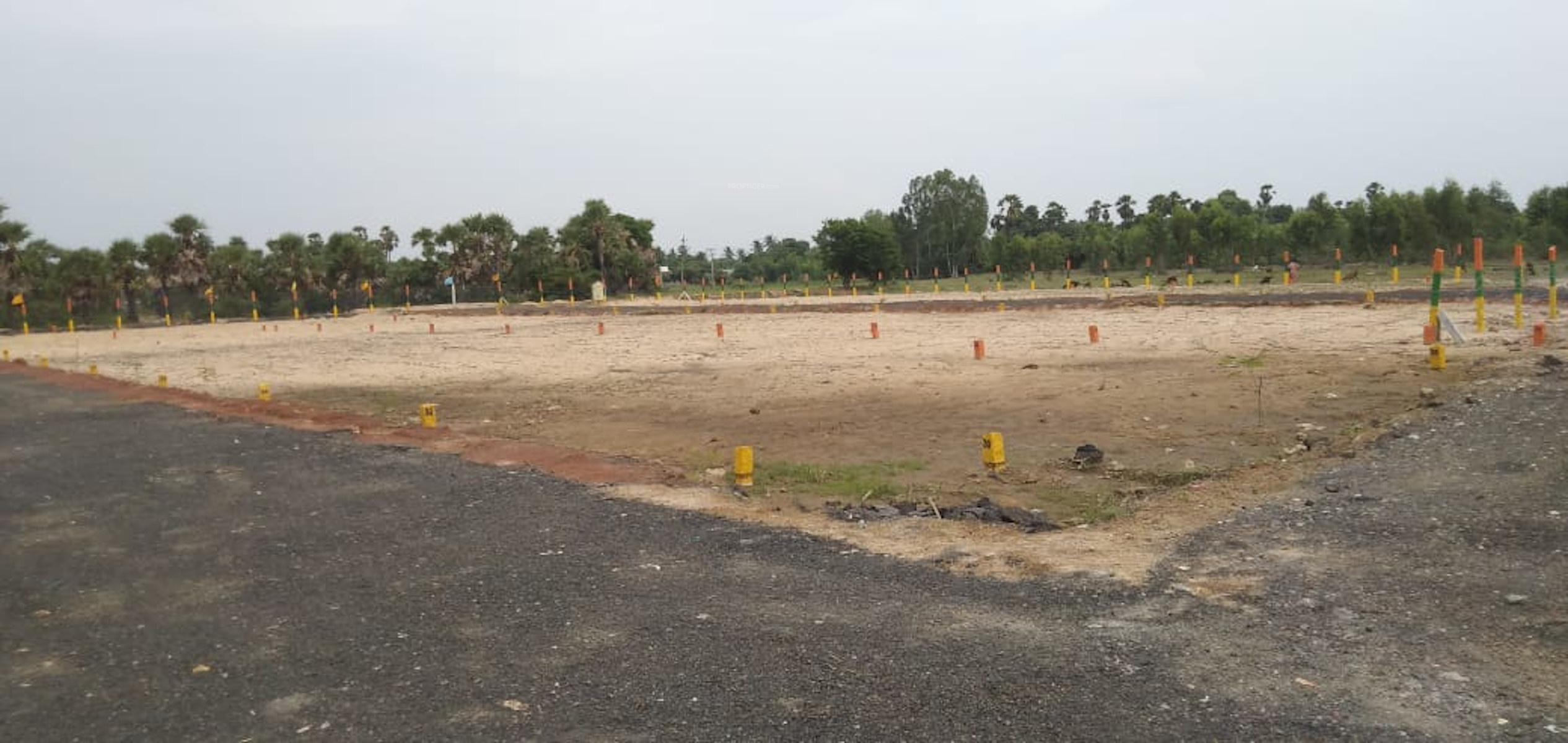 858 sq ft Plot for Sale in Kavin Real Estate And Promoters Sri Sakthi