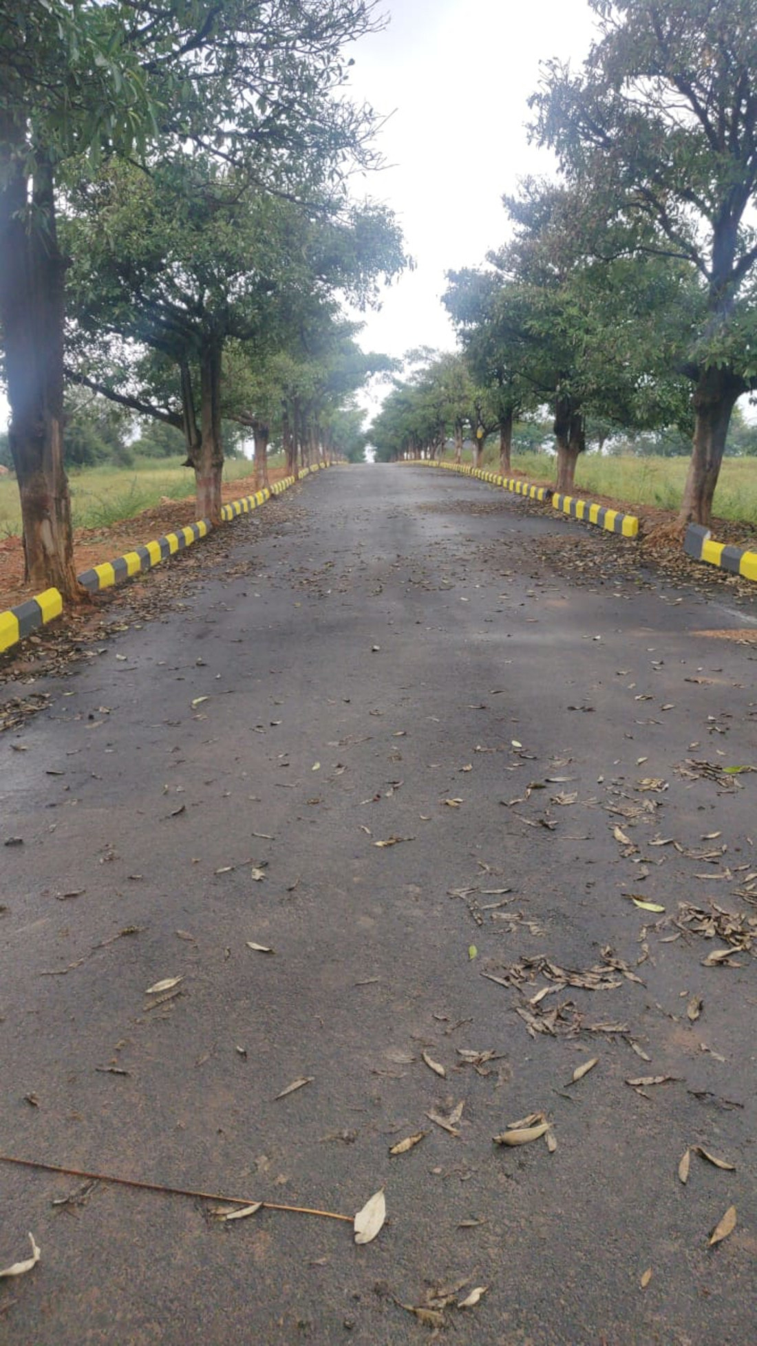 2007 sq ft Plot for Sale in CK Infini Breeze County Mansanpally Hyderabad