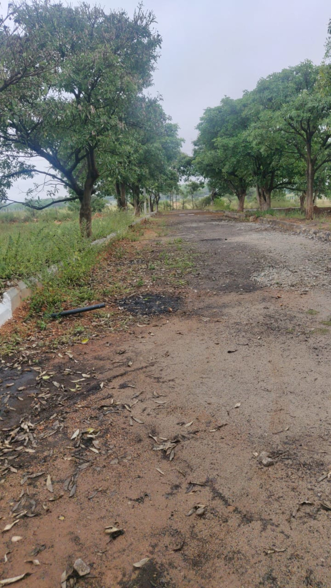 2007 sq ft Plot for Sale in CK Infini Breeze County Mansanpally Hyderabad