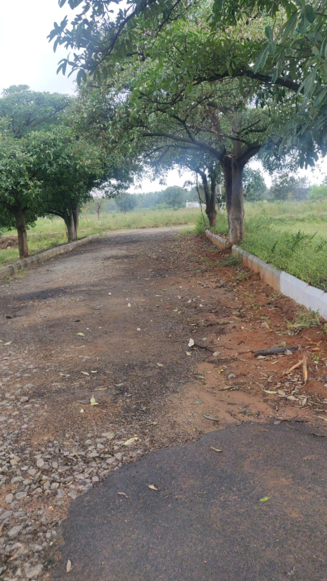 2007 sq ft Plot for Sale in CK Infini Breeze County Mansanpally Hyderabad