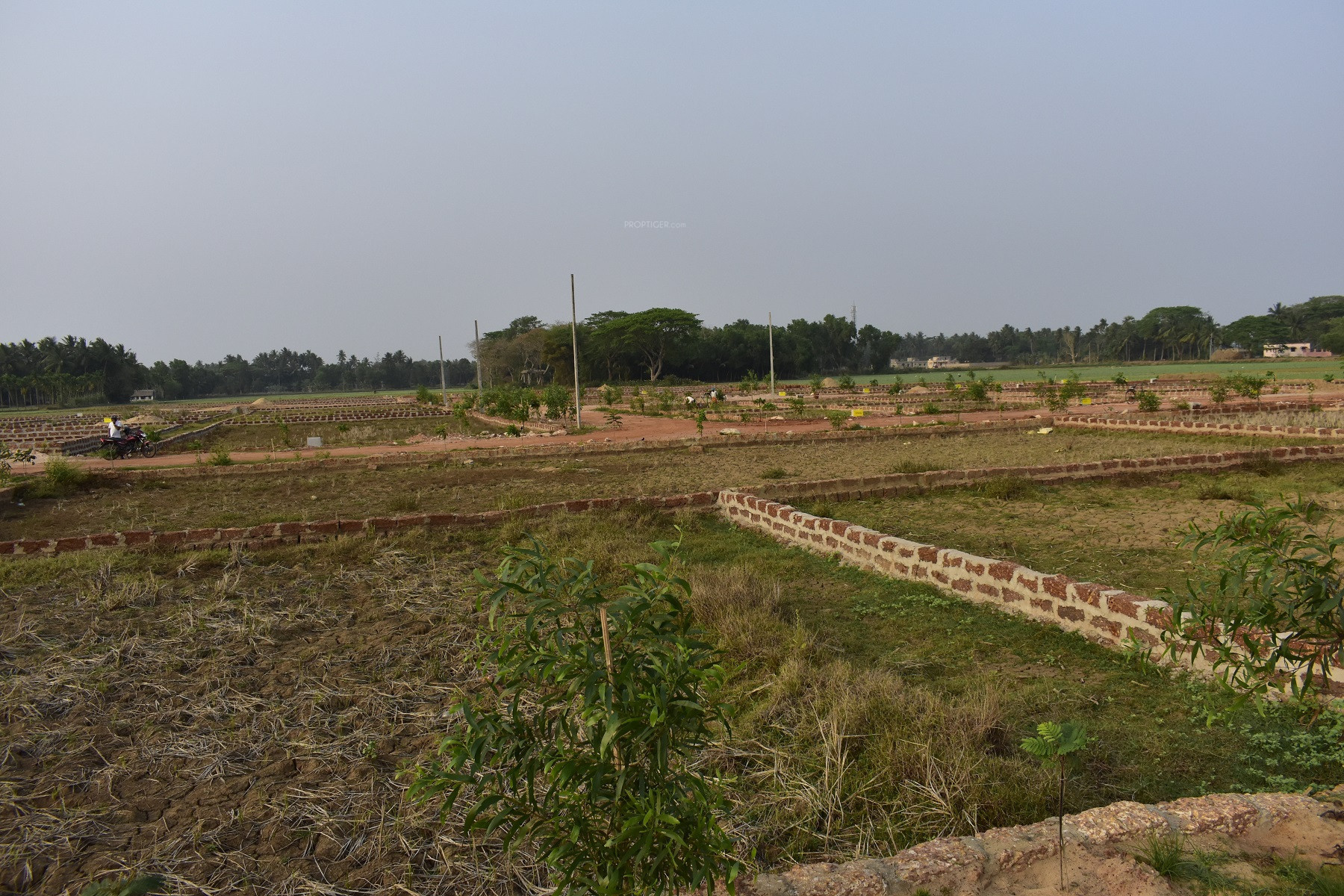 2500 sq ft Plot for Sale in Om Assets And Housing Vihar Jayadev Vihar