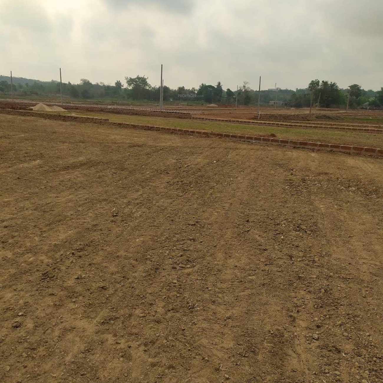 1500 sq ft Plot for Sale in Radha Madhab Builders Nagar Gothapatna