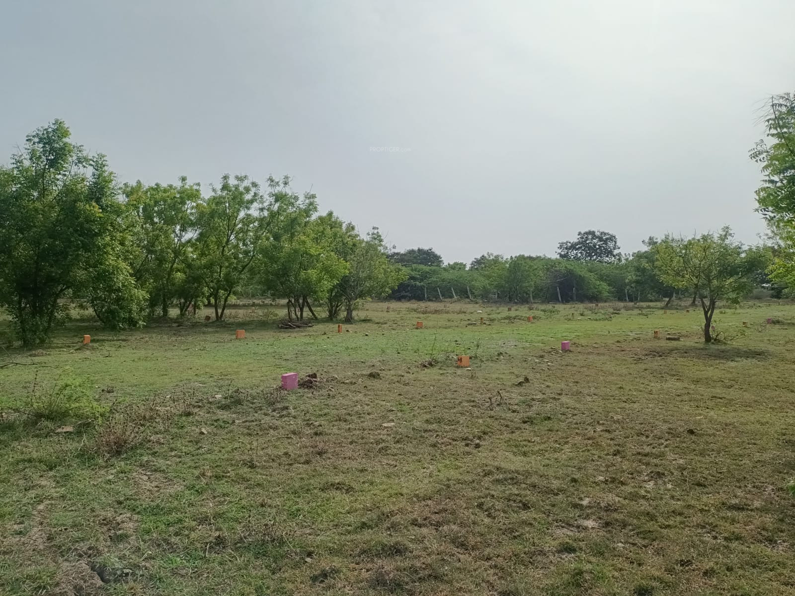 1572 sq ft Plot for Sale in Samee Dream Properties Sri Ram Nagar