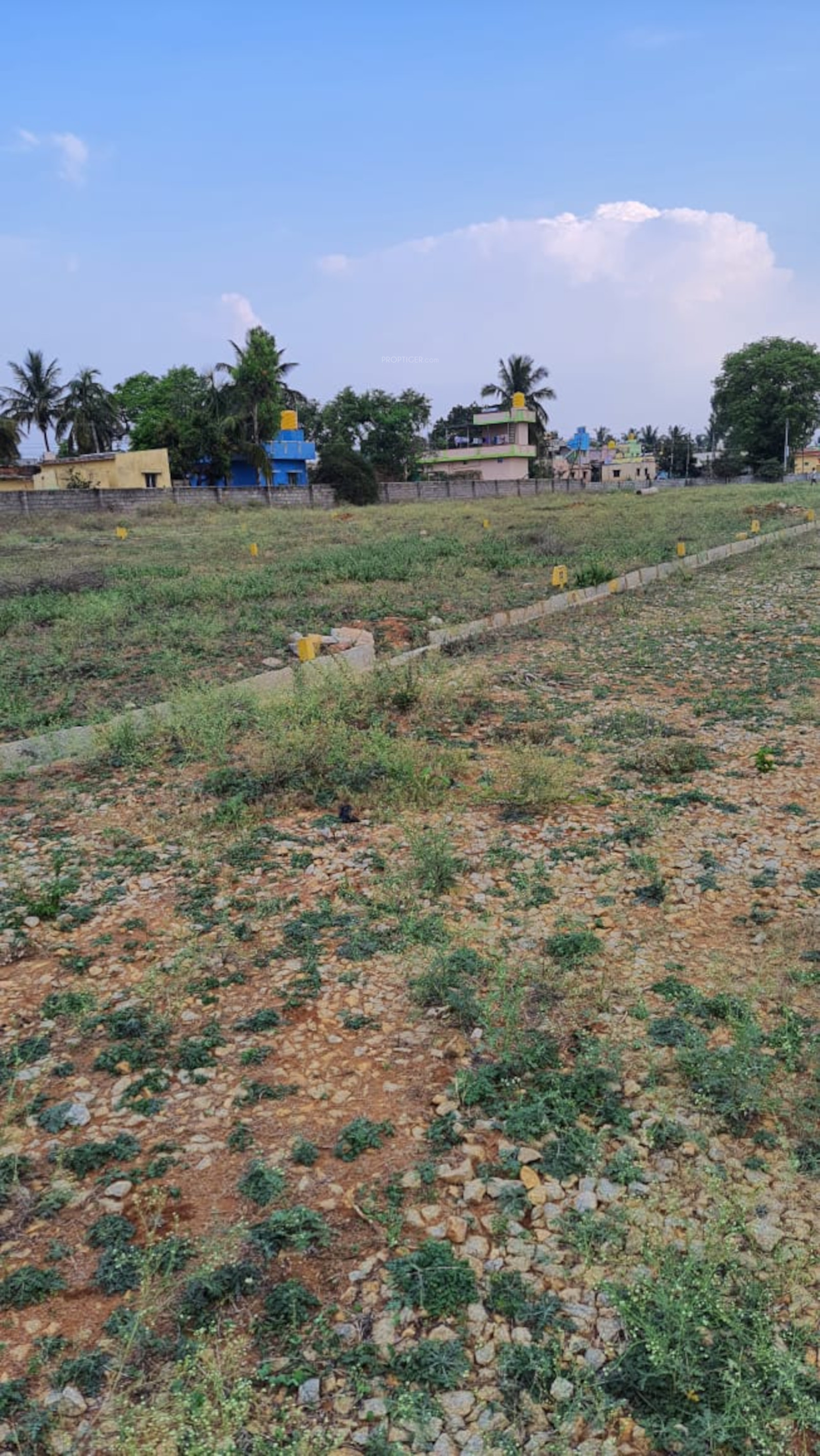 1000 sq ft Plot for Sale in Indus Estate Enclave Doddaballapur Bangalore