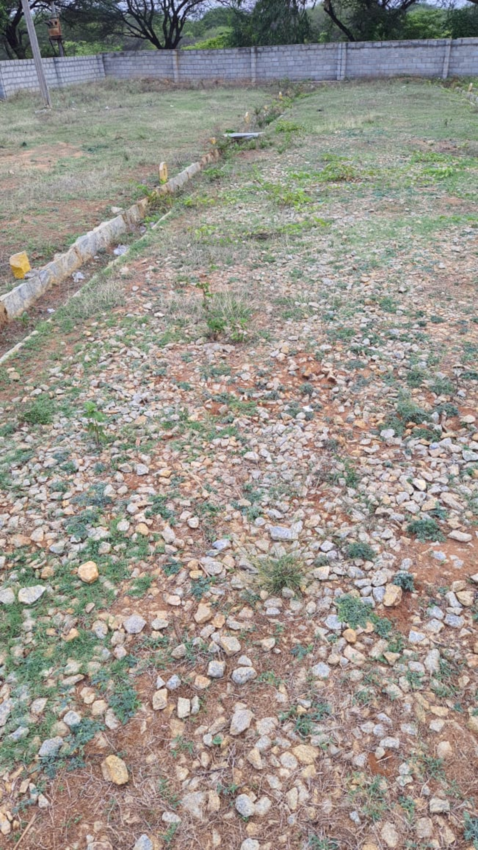 1000 sq ft Plot for Sale in Indus Estate Enclave Doddaballapur Bangalore