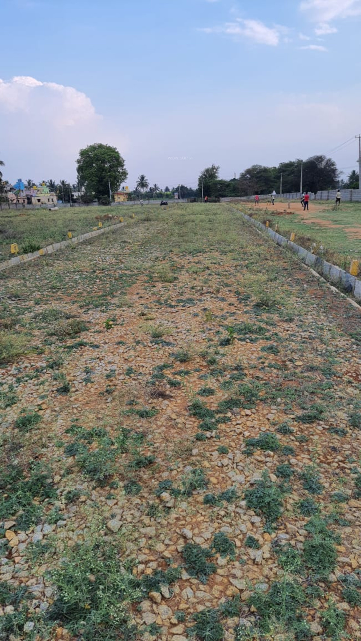 1000 sq ft Plot for Sale in Indus Estate Enclave Doddaballapur Bangalore