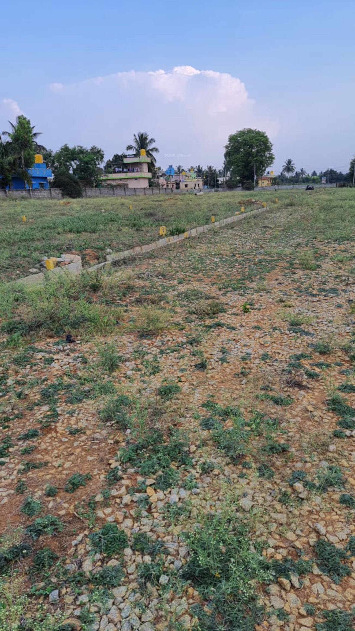 1000 sq ft Plot for Sale in Indus Estate Enclave Doddaballapur Bangalore