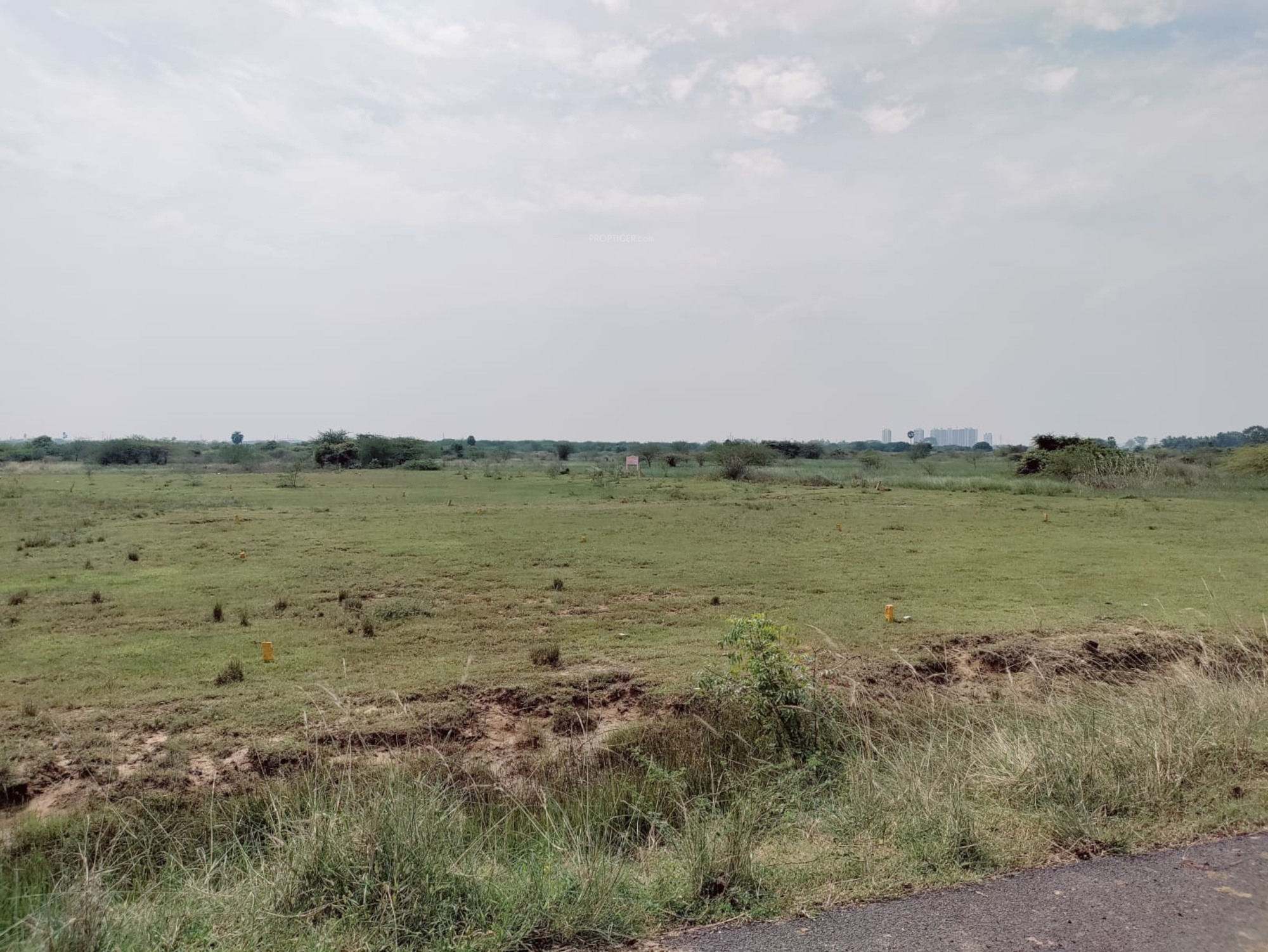 1100 sq ft Plot for Sale in Madras City Properties Joythibasu Nagar
