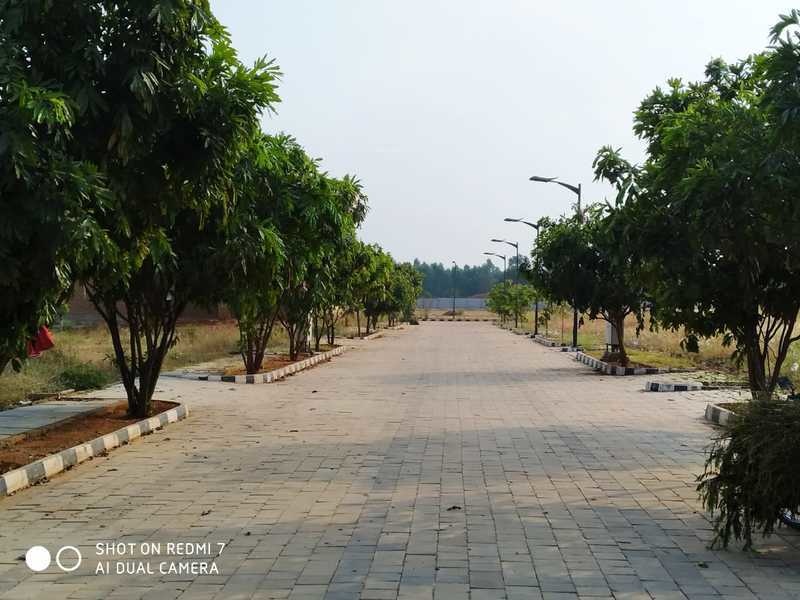 1200 sq ft Plot for Sale in Century Real Estate Eden Doddaballapura