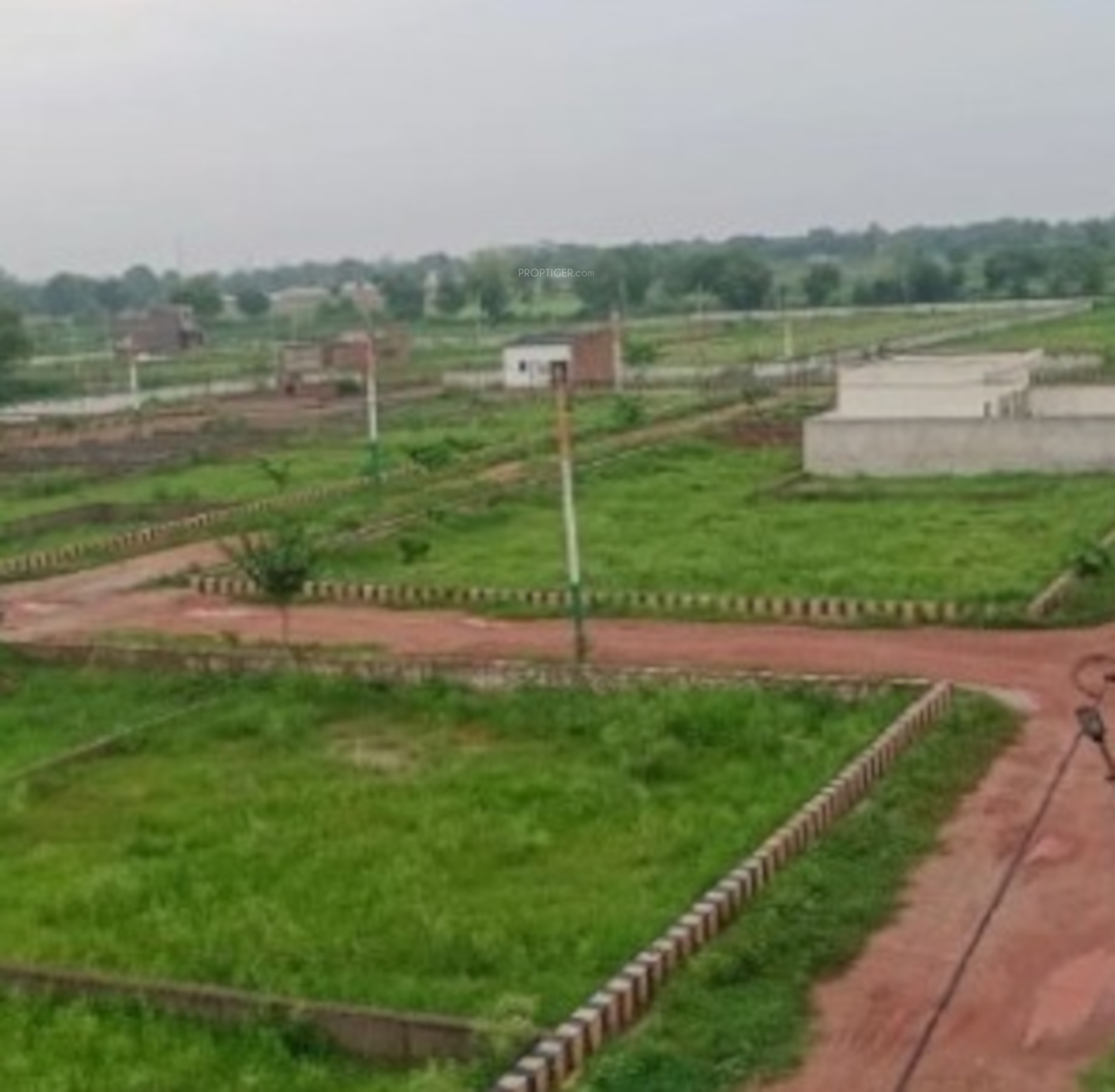 5000 sq ft Plot for Sale in Jameen Guru Realty Guru Vindhane Vindhane Raigad