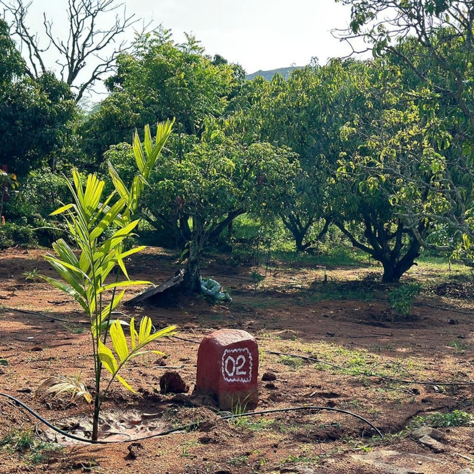 5717 sq ft Plot for Sale in Jade Rise Promoters Mango Dew Ramanagara