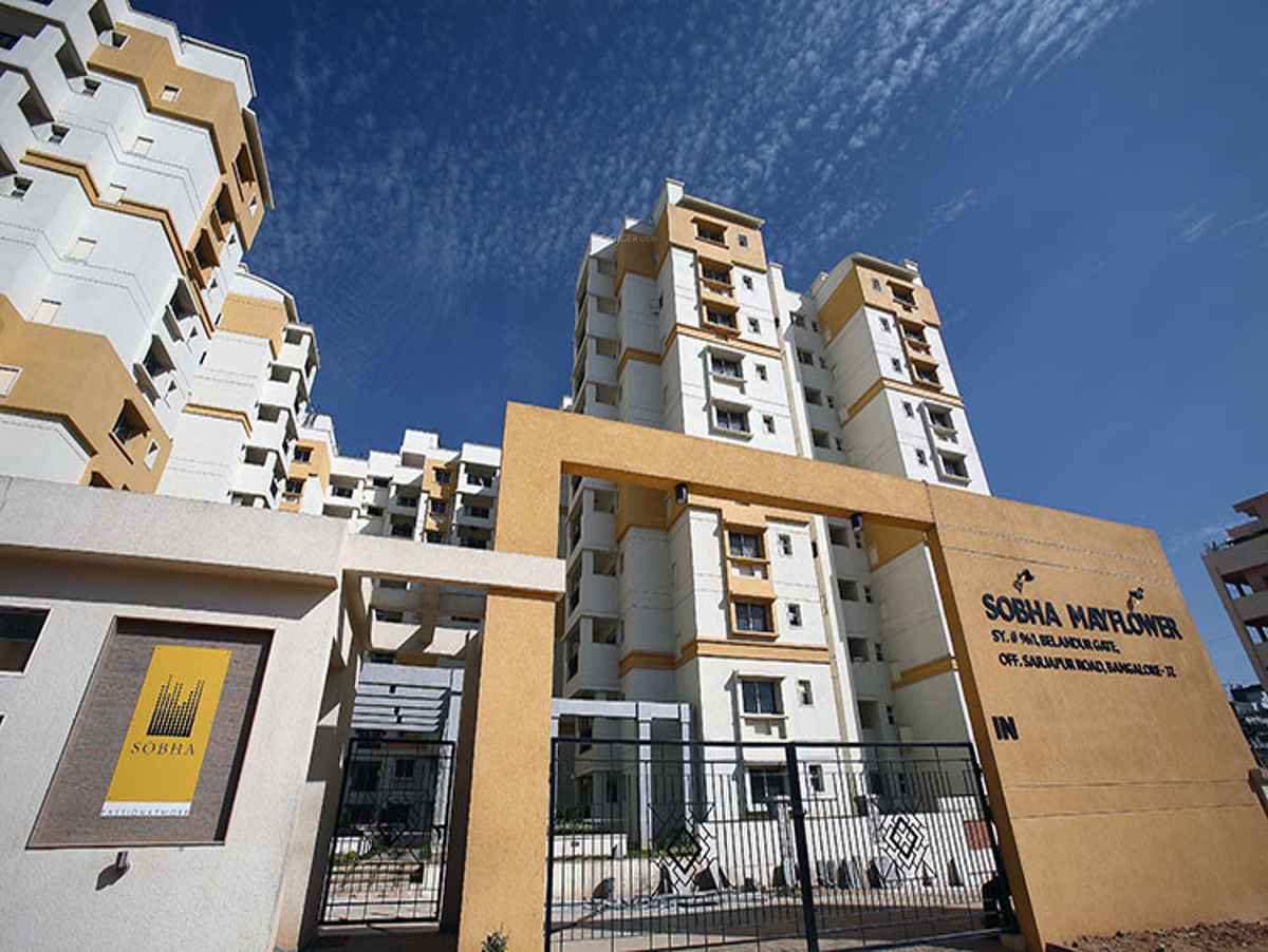 Sobha Mayflower Bellandur Rent at Peter Reade blog