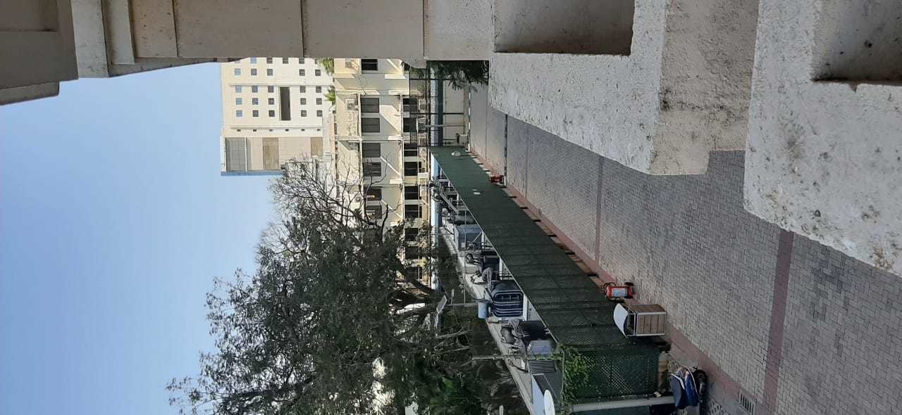 DLF Commanders Court in Egmore, Chennai Price, Location Map, Floor