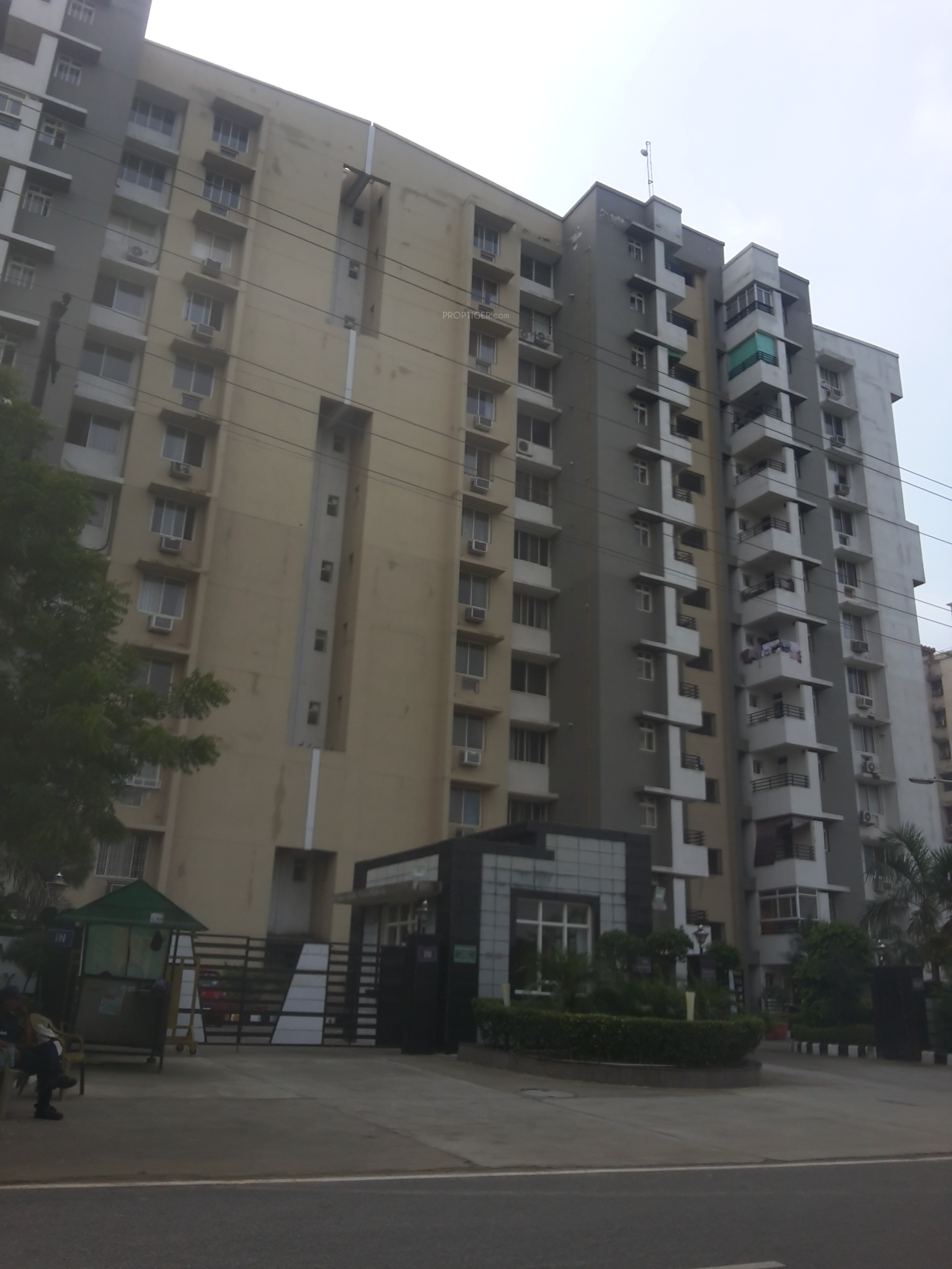 2227 sq ft 3 BHK 3T Apartment for Sale in Stellar Group MI Legacy Zeta