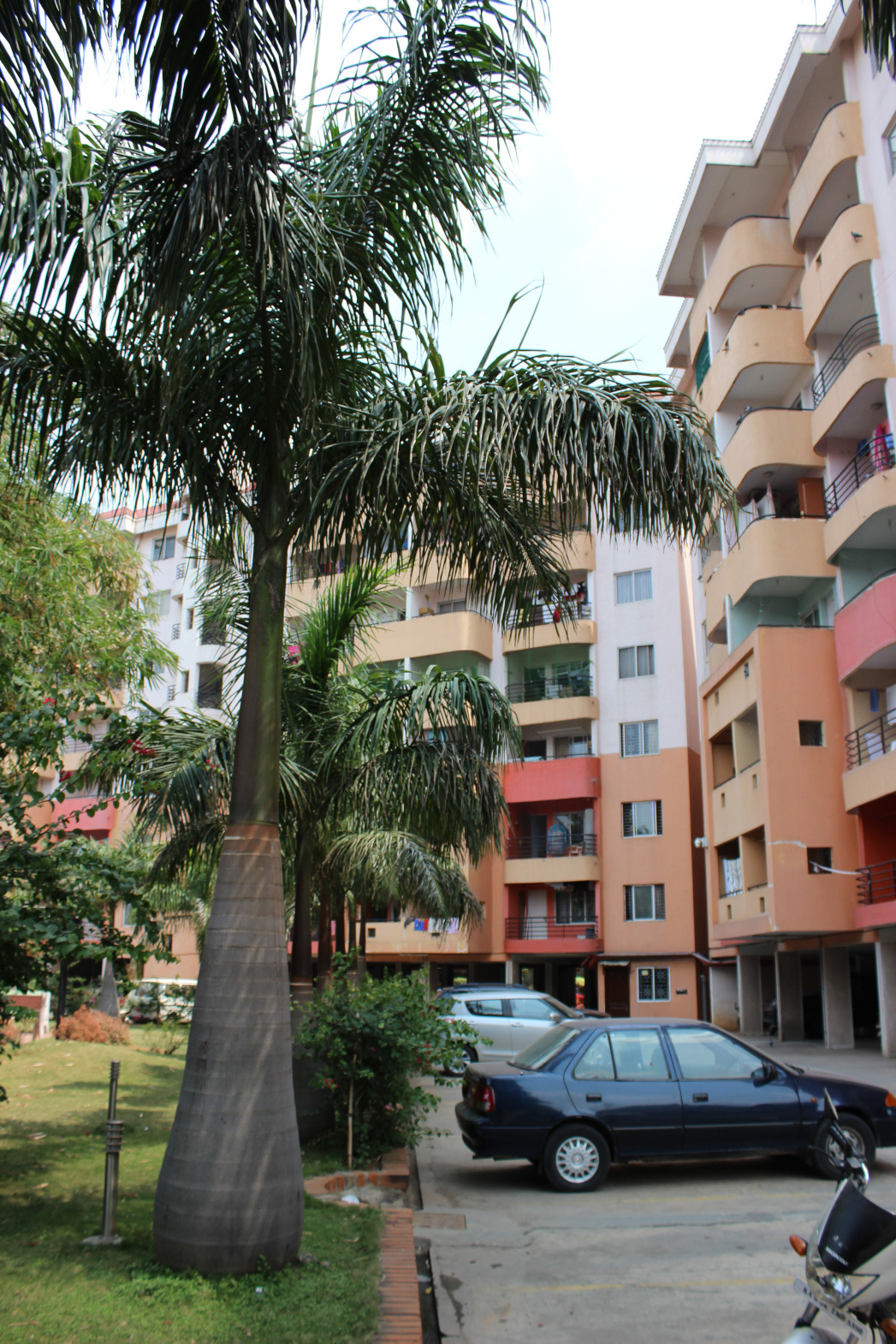 Ranka Nest in Seshadripuram, Bangalore Price, Location Map, Floor