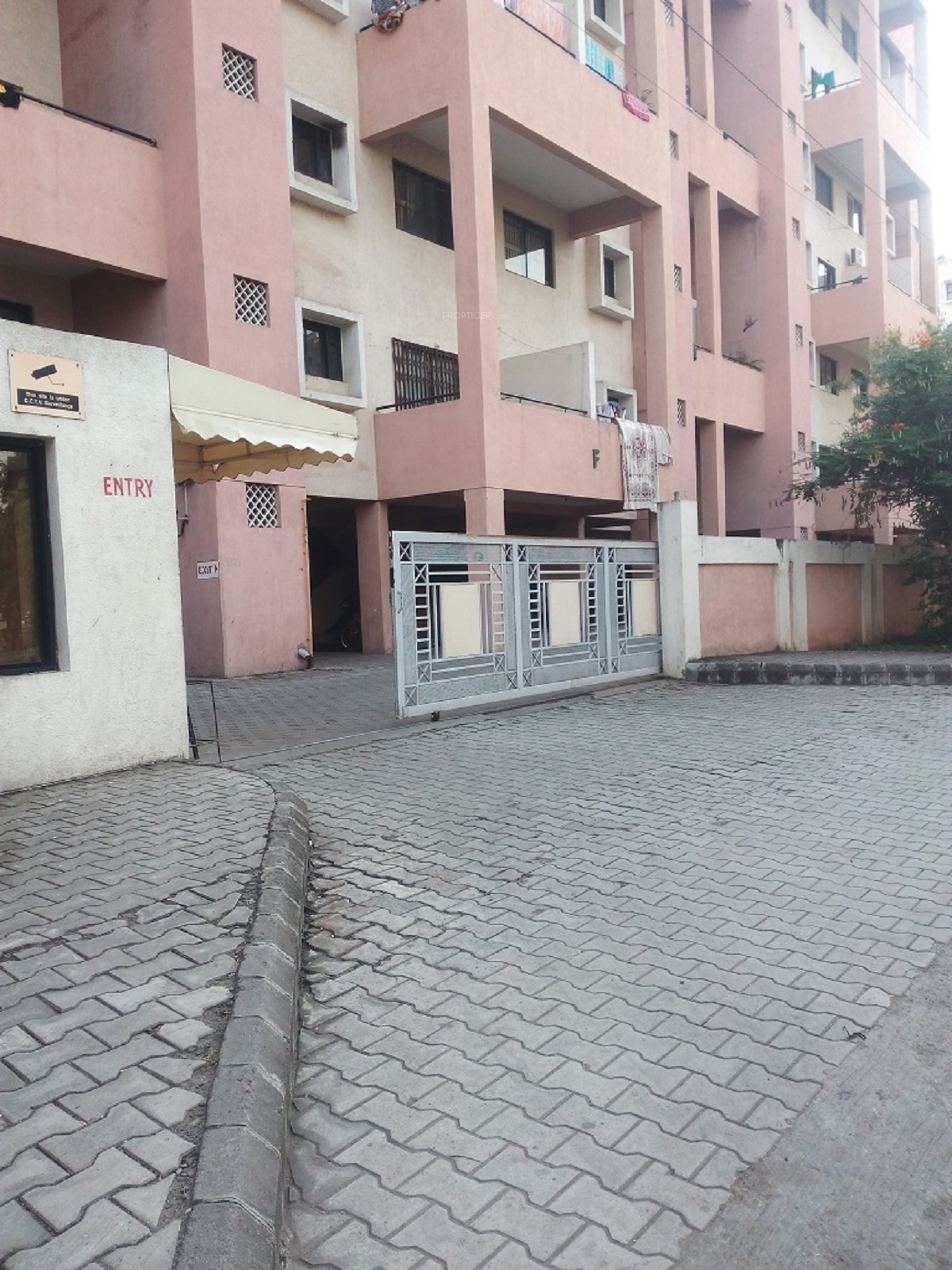 550 sq ft 1 BHK 1T Apartment for Sale in Magarpatta City Heliconia