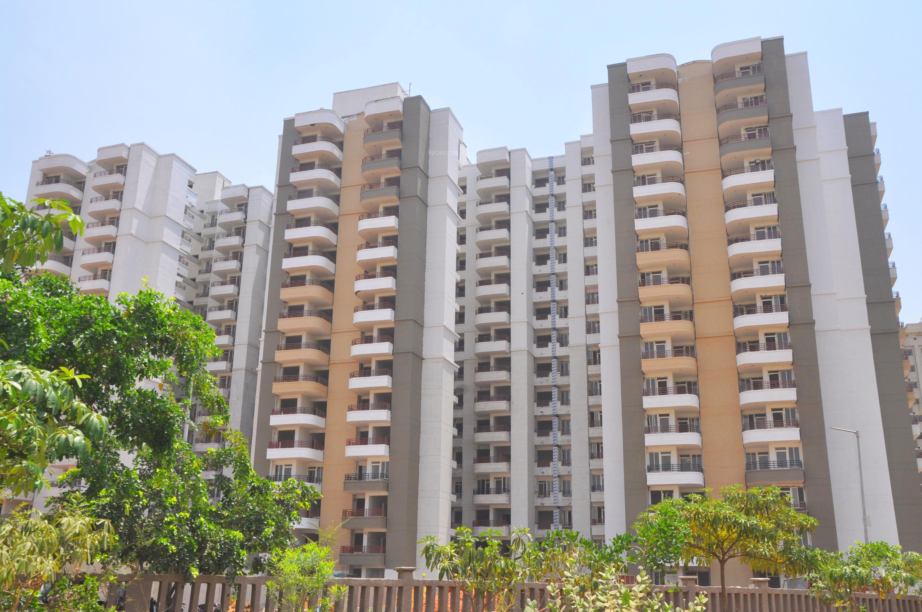 529 sq ft 1 BHK 1T Apartment for Sale in Stellar Group MI Citihomes Omicron 1 Greater Noida