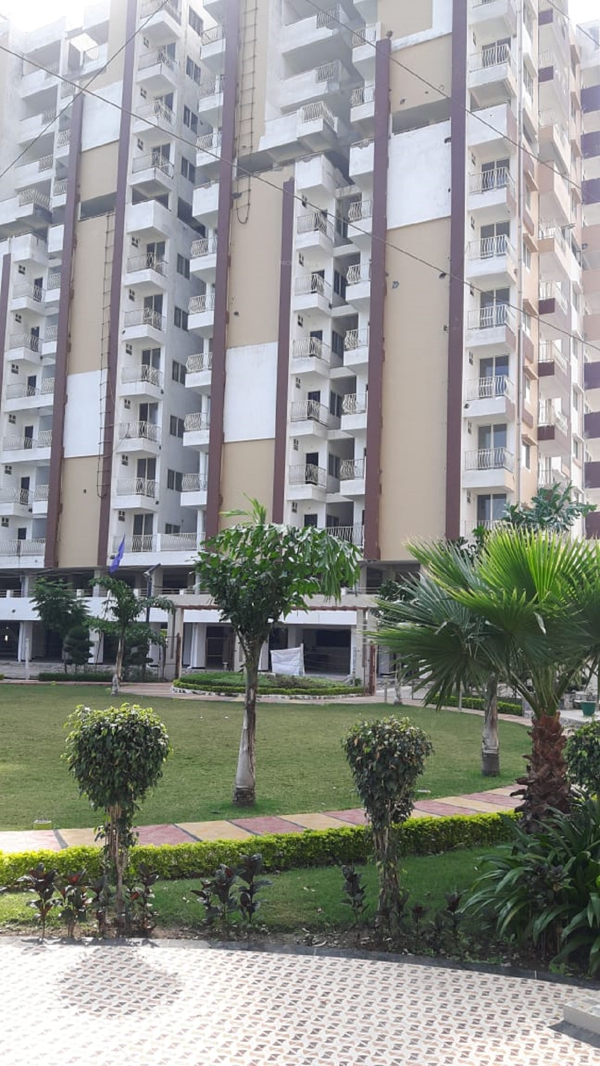 1050 sq ft 2 BHK 2T Apartment for Sale in Agrawal Construction Sagar