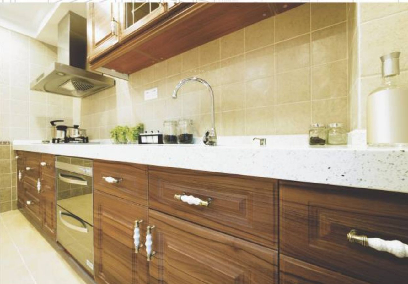 575 sq ft 1 BHK 1T Apartment for Sale in Milestone Infra City Pulse